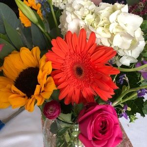 Meet your Posher, Lacy